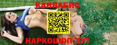 мдпв Бийск
