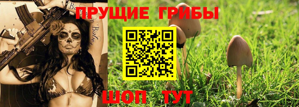 Псилоцибиновые грибы ЛСД Дзержинский